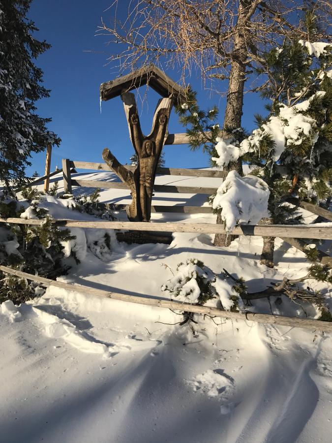 Haus Gohringer / Ferienwohnungen Хермагор Экстерьер фото